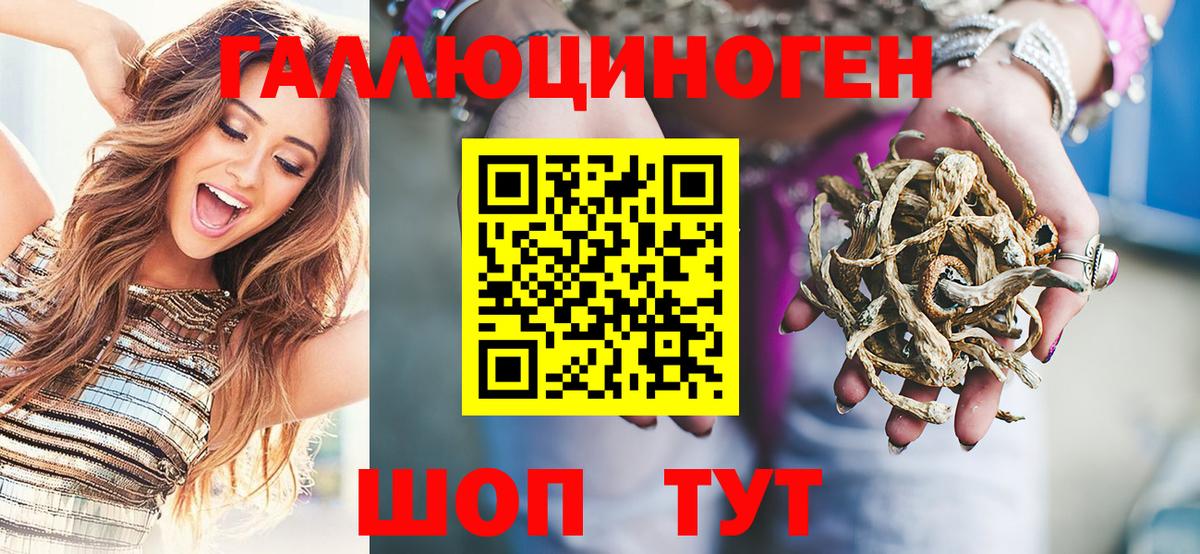 Псилоцибиновые грибы Psilocybe Ефремов