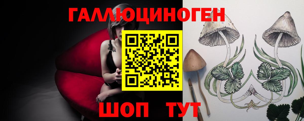 Галлюциногенные грибы MAGIC MUSHROOMS  Вход с VPN  Ефремов  Псилоцибиновые грибы мухоморы 